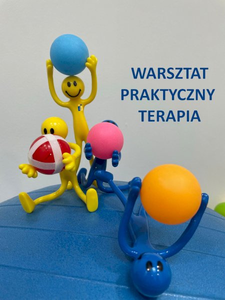 BUDOWANIE PLANU TERAPII W ZALEŻNOŚCI OD ROZPOZNANIA SI warsztaty praktyczne #1